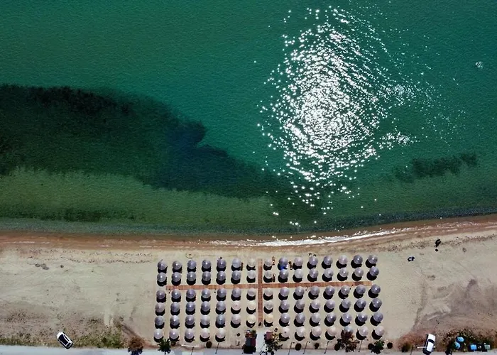 Daire Seafront House *